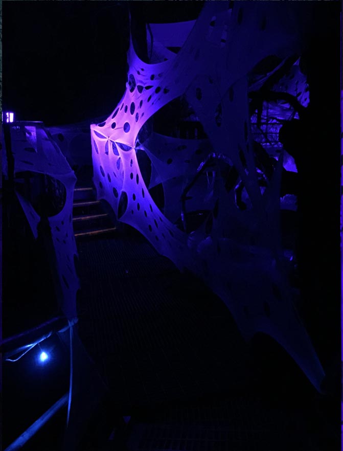 Halloween haunt