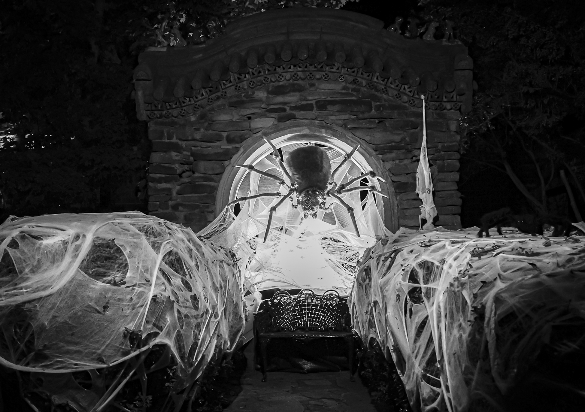 Halloween haunt