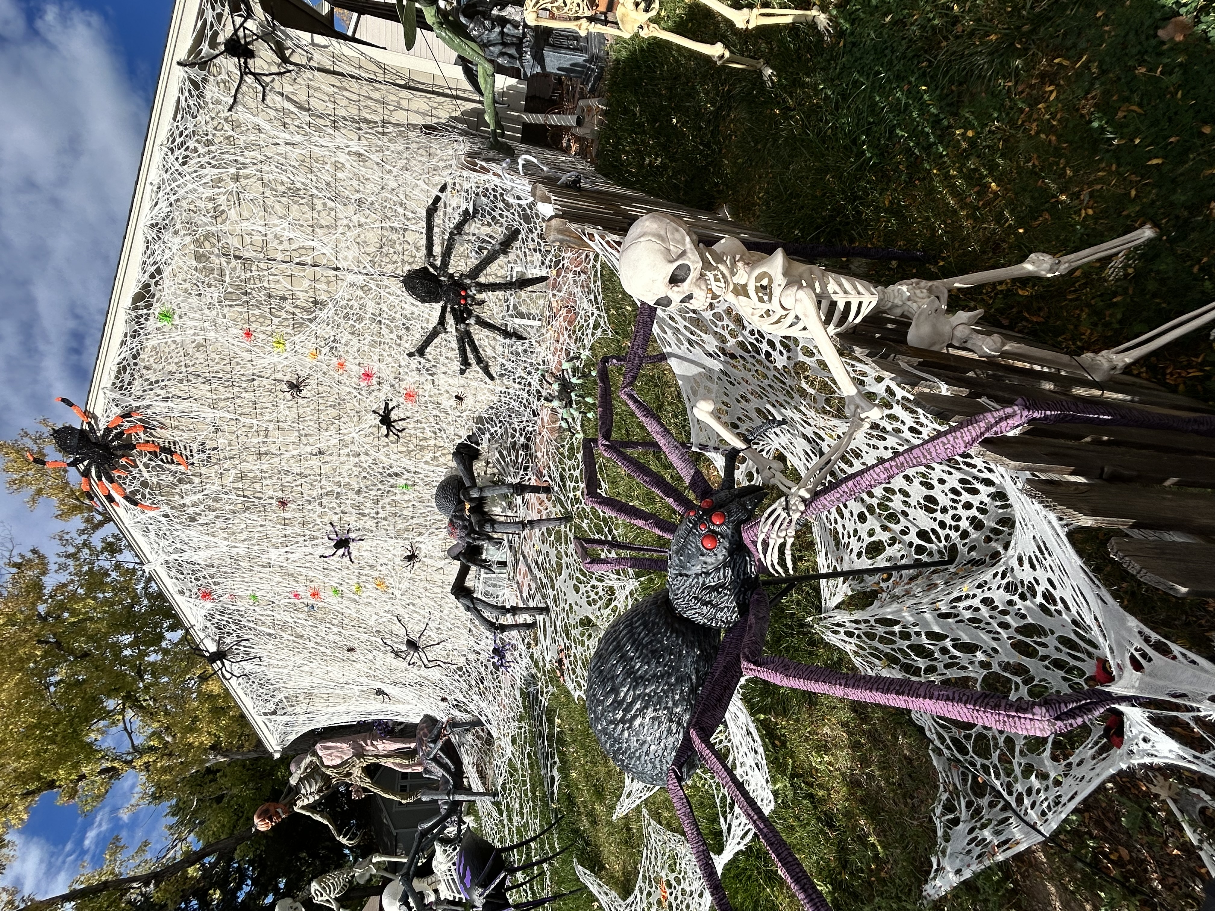 Spider infestation - been using beef netting for 5ys and it grows every year. Looks great under black lights.