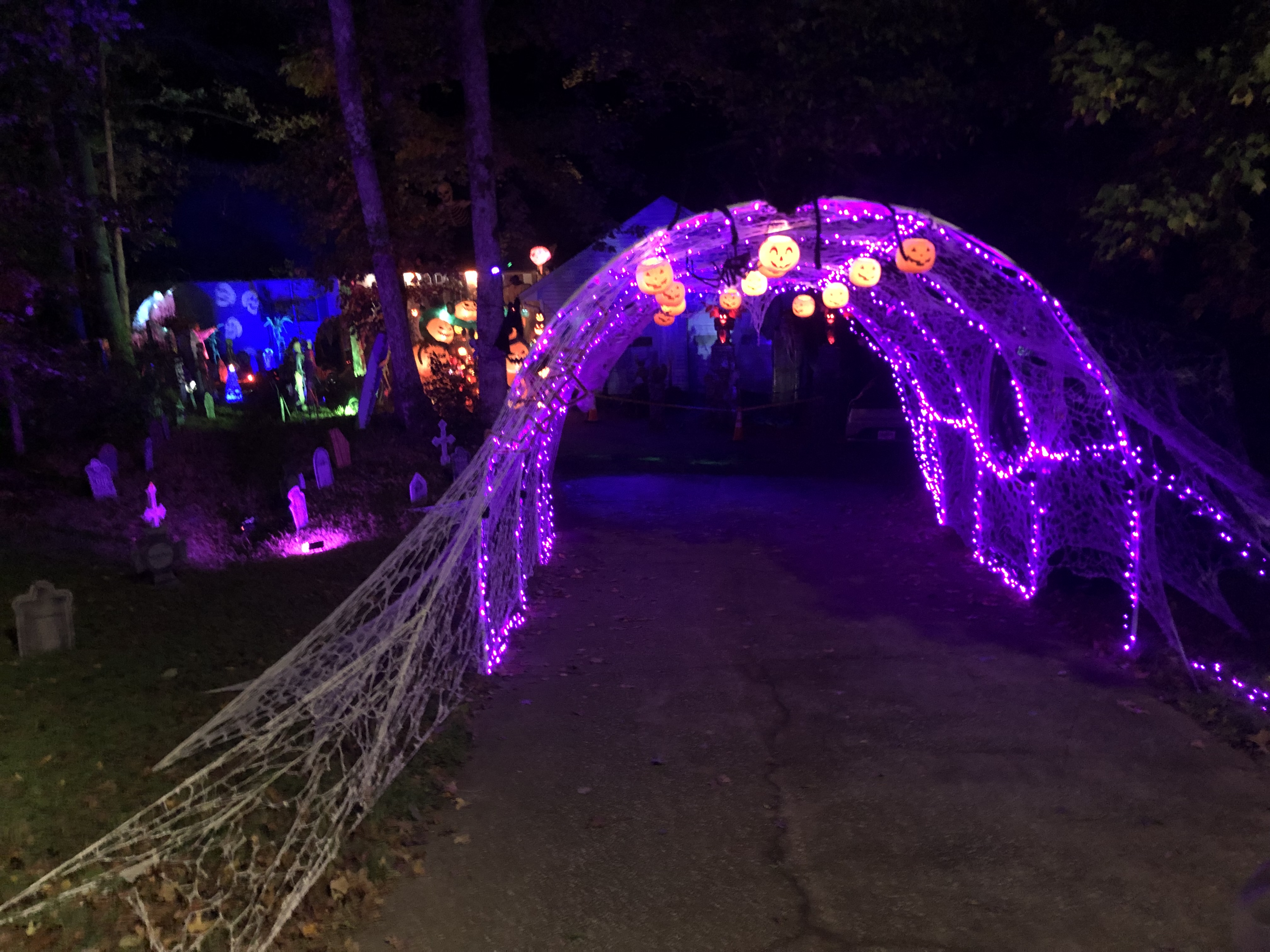 Spider web tunnel
