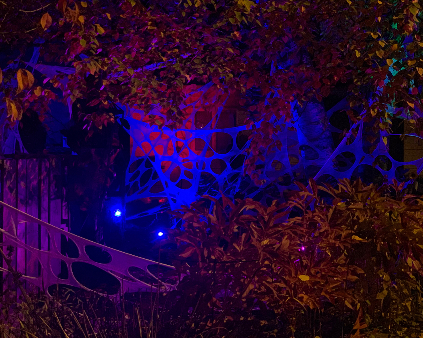 The TERROR on Tofield