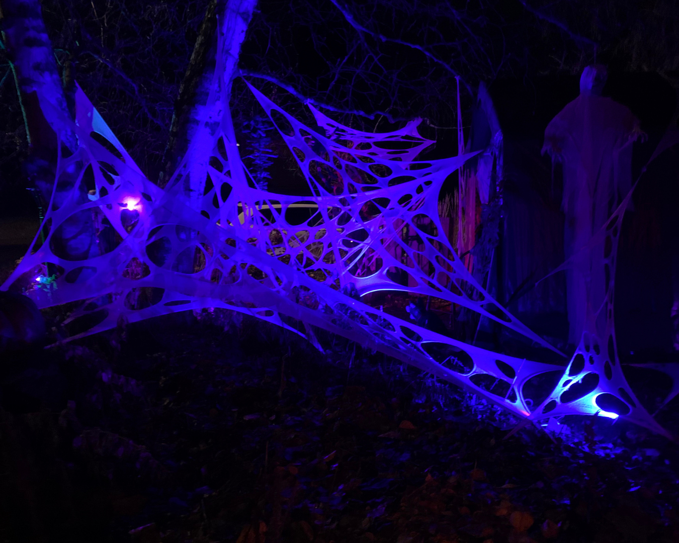 The TERROR on Tofield
