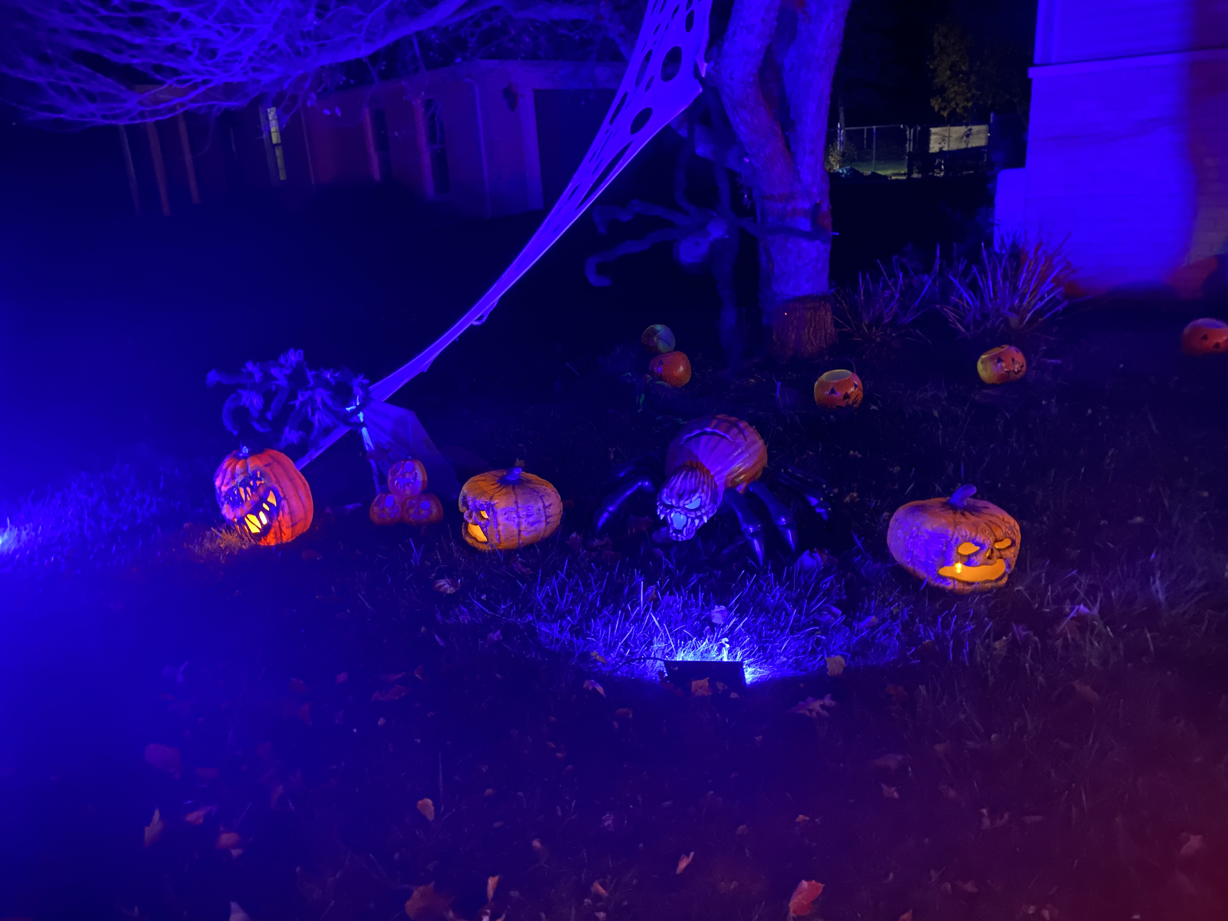Pumpkin spider