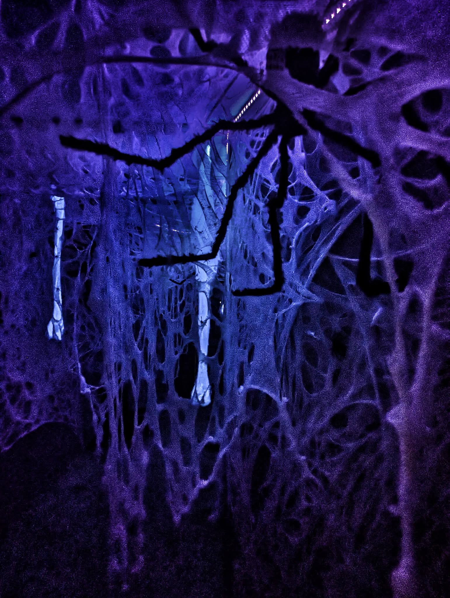 Spider hallway in walkthrough haunt.