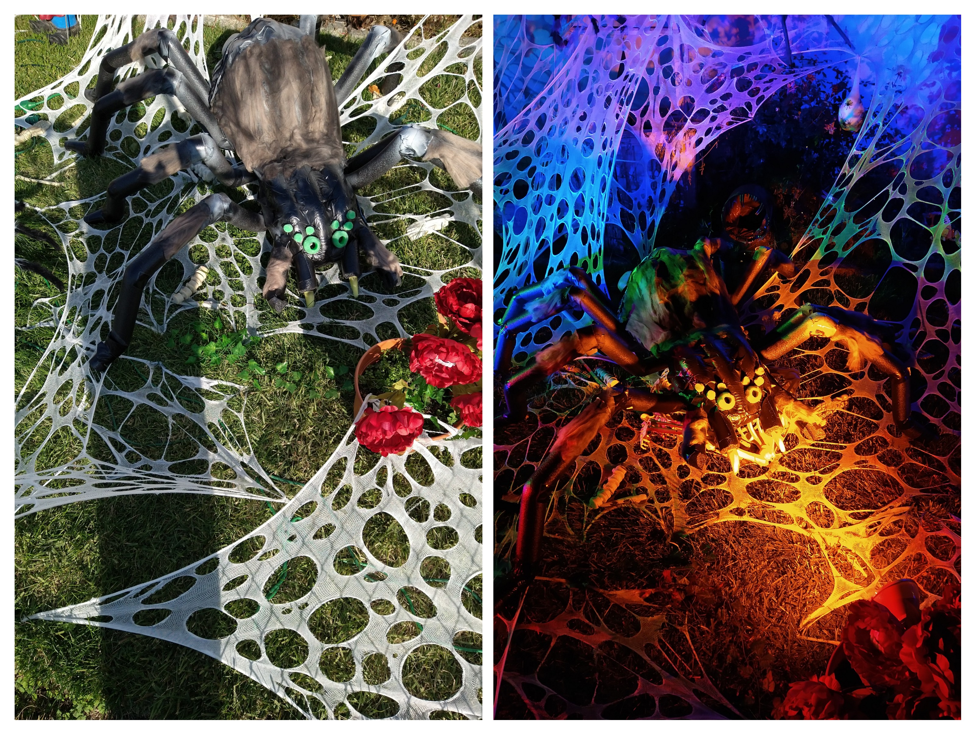 Giant 6ft Spider by day/night