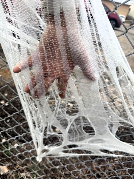 🕸️ BEEF NETTING UPDATE FROM TRENTON MILLS 🕸️